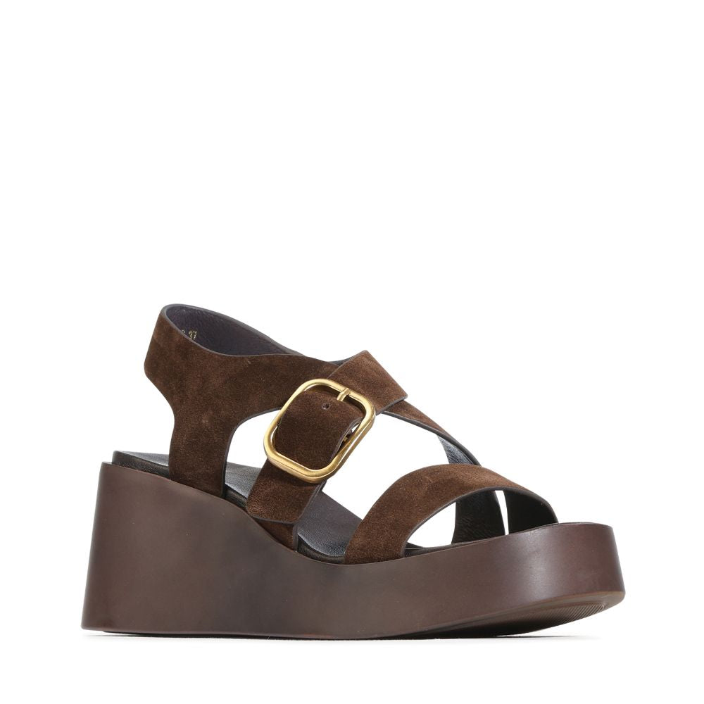 ARIANIS WEDGE